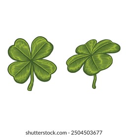 Clover leaf hand drawn illustration in vintage engraving style