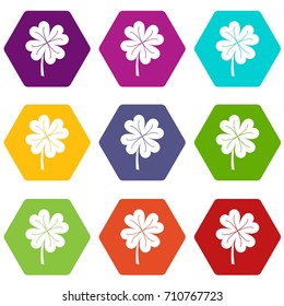 Clover leaf icon set many color hexahedron isolated on white vector illustration