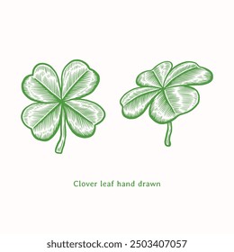 Clover leaf illustration. Clover leaf hand drawn illustration in vintage engraving style. Lucky clover leaf illustration. Four leaf clover illustration