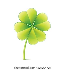 Clover leaf isolated on white photo-realistic vector illustration