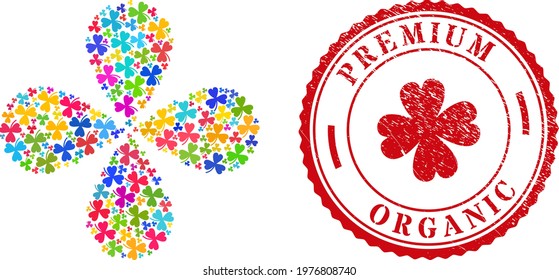 Clover leaf multicolored exploding flower with four petals, and red round PREMIUM ORGANIC unclean seal. Clover leaf symbol inside round stamp imitation.