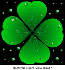 clover leaf and water drop vector design on black background	