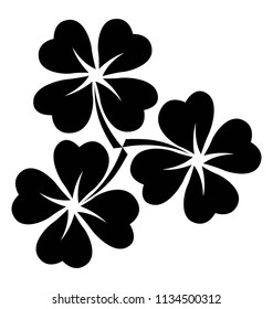 Clover leaves in a group of three showcasing clover flower icon 