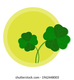 clover leaves isolated on white background .vector illustration