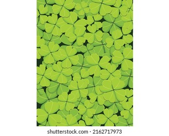 Clover leaves isolated on white background. Vector illustrations. St Patricks Day symbol, Irish lucky shamrock design background