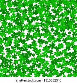 Clover leaves on a green background with three-leafed trefoils. St. Patrick's Day holiday symbol. holiday background, illustration