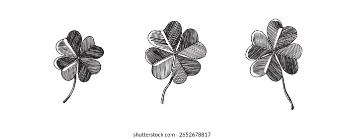 Clover leaves sketch. Decorative sceleton leaf icons. Vector hand drawn illustration. Minimal line art style. St Patrick's day elements.