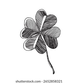 Clover leaves sketch. Decorative sceleton leaf icons. Vector hand drawn illustration. Minimal line art style. St Patrick's day elements.