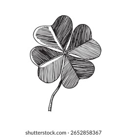 Clover leaves sketch. Decorative sceleton leaf icons. Vector hand drawn illustration. Minimal line art style. St Patrick's day elements.