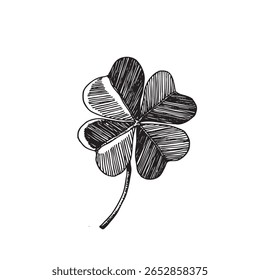 Clover leaves sketch. Decorative sceleton leaf icons. Vector hand drawn illustration. Minimal line art style. St Patrick's day elements.