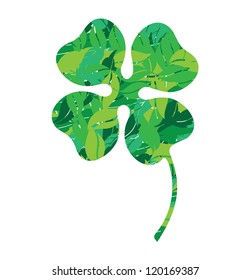 clover in leaves vector illustration