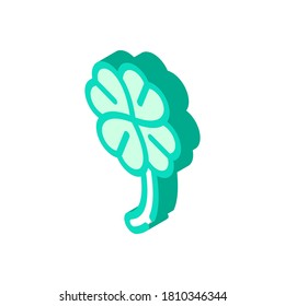 clover lucky isometric icon vector. clover lucky sign. isolated symbol illustration