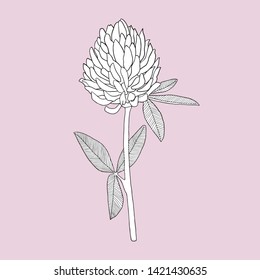 Clover on a pink background. Can be used for postcards, invitations, advertising, web, textile and other.
