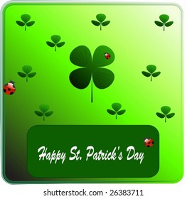 Clover on St. Patrick's Day