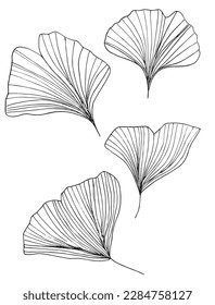 Clover outline illustration vector image. Hand drawn clover sketch image artwork. Simple original logo icon from pen drawing sketch.
