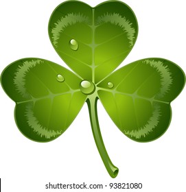 clover over white