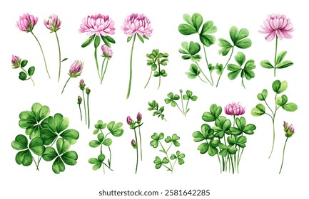 Clover pink flowers and green leaves vector clipart collection. Good luck symbol. Lucky charm