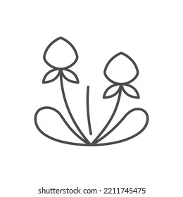 Clover plant line outline icon