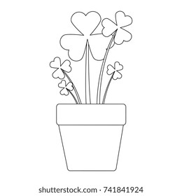 clover plant in pot