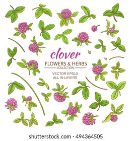 clover plant vector set on white background