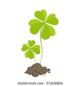 Clover plants sprout st patricks day. Vector illustration.