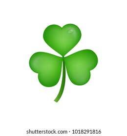 Clover. Realistic three leaf clover for Saint Patrick's Day.