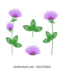 Juego de enamorados. Flores y hojas. Ilustración del vector 