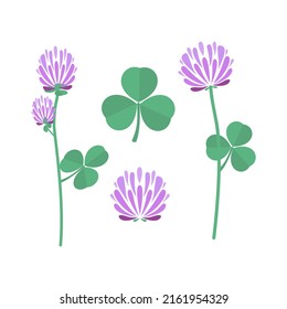 Clover set. Flowers and leaves. Vector illustration 