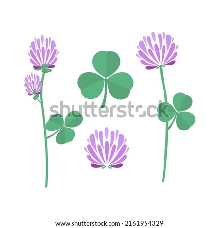 Clover set. Flowers and leaves. Vector illustration 