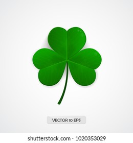 Clover Shamrock. Patricks day. Clover leaf icon realistic. Vector