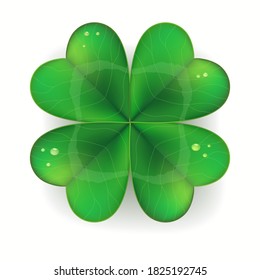 Clover shamrock realistic, Saint Patricks Day symbol. vector illustration