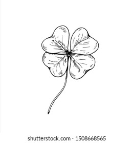 Clover sketch. Hand drawn four leaf clover. Vector illustration, isolated on white.