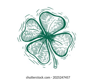 Clover, St. Patrick's Day. Hand drawn illustrations. Vector.	
