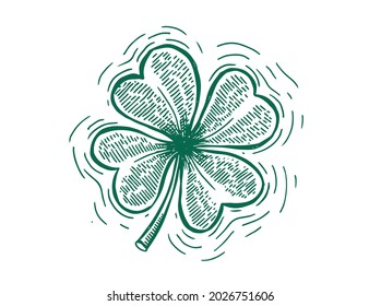 Clover, St. Patrick's Day. Hand drawn illustrations. Vector.	