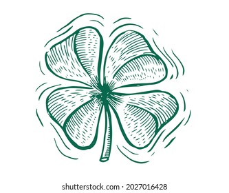 Clover, St. Patrick's Day. Hand drawn illustrations. Vector.	