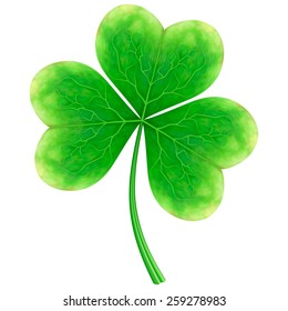 Clover. St. Patrick's day symbol.
