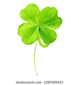 clover with style hand drawn digital painting illustration