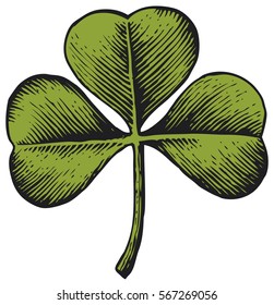 Clover with three leaf - vintage engraved vector illustration (hand drawn style)