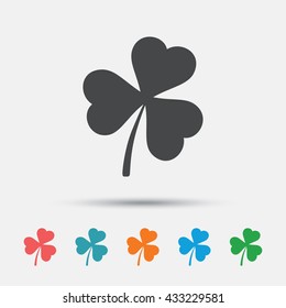 Clover with three leaves sign icon. Trifoliate clover. Saint Patrick trefoil symbol. Graphic element on white background. Colour clean flat clover icons. Vector