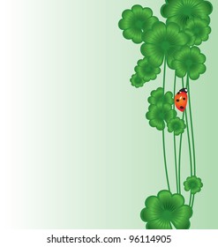 Clover vector border on white with ladybird for St. Patrick's day