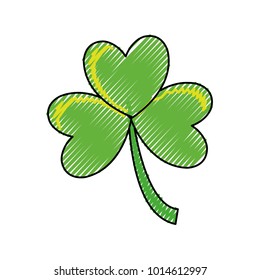 clover vector illustration