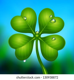 Clover - vector illustration.