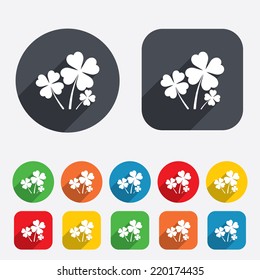 Clovers with four leaves sign icon. Saint Patrick symbol. Circles and rounded squares 12 buttons. Vector
