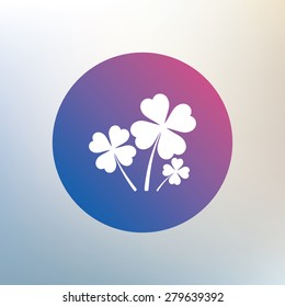 Clovers with four leaves sign icon. Saint Patrick symbol. Icon on blurred background. Vector