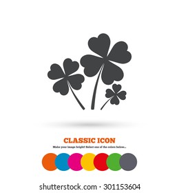 Clovers with four leaves sign icon. Saint Patrick symbol. Classic flat icon. Colored circles. Vector