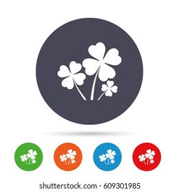 Clovers with four leaves sign icon. Saint Patrick symbol. Round colourful buttons with flat icons. Vector