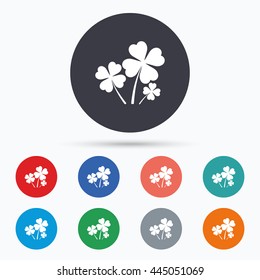 Clovers with four leaves sign. St Patrick symbol. Circle buttons with clovers icon. Vector