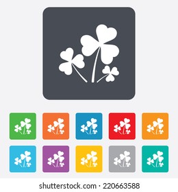 Clovers with three leaves sign icon. Saint Patrick trefoil shamrock symbol. Rounded squares 11 buttons. Vector