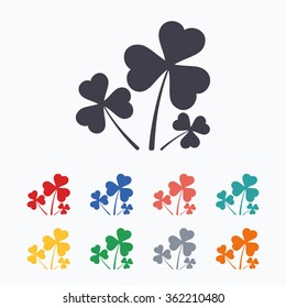 Clovers with three leaves sign icon. Saint Patrick trefoil shamrock symbol. Colored flat icons on white background.