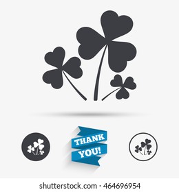 Clovers with three leaves sign icon. Saint Patrick trefoil shamrock symbol. Flat icons. Buttons with icons. Thank you ribbon. Vector